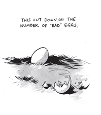 bad eggs