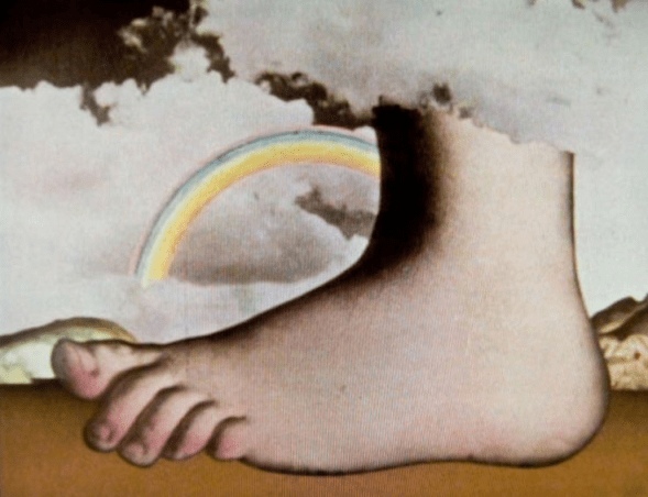 Foot